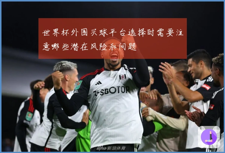 世界杯外围买球平台选择时需要注意哪些潜在风险和问题